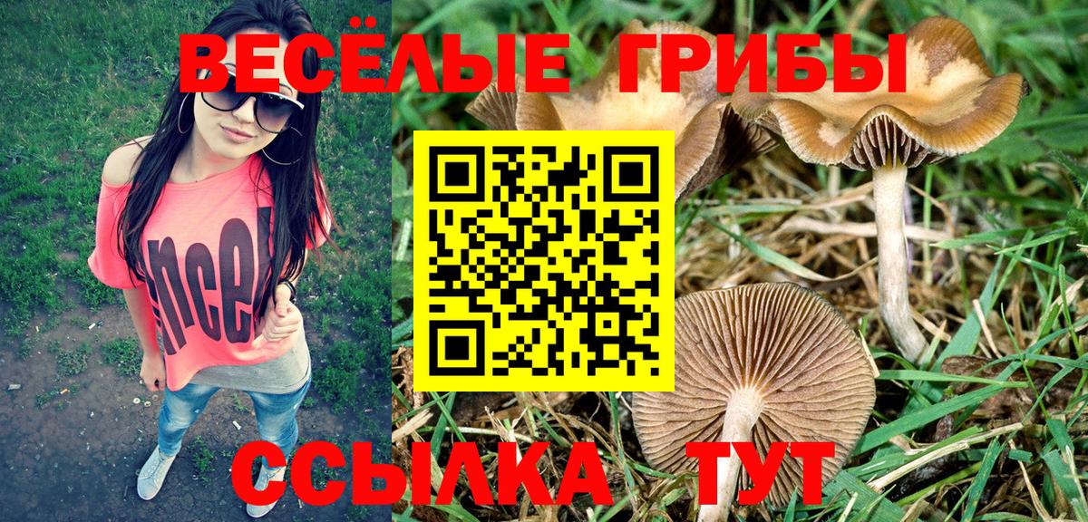Людиново  хочу   Вход с VPN  Псилоцибиновые грибы мицелий 